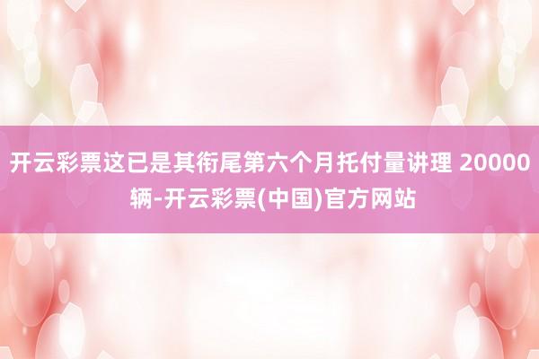 开云彩票这已是其衔尾第六个月托付量讲理 20000 辆-开云彩票(中国)官方网站